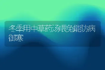 冬季用中草药汤喂兔能防病御寒