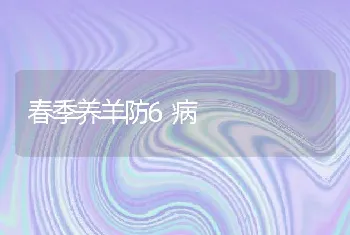 春季养羊防6病