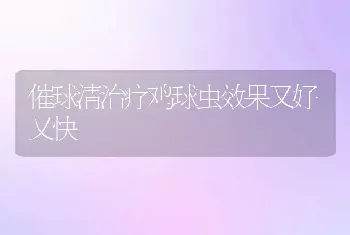 催球清治疗鸡球虫效果又好又快