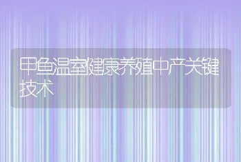 甲鱼温室健康养殖中产关键技术