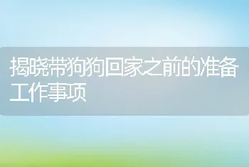 揭晓带狗狗回家之前的准备工作事项