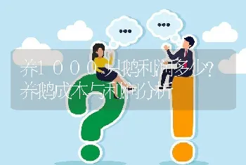 养1000只鹅利润多少？养鹅成本与利润分析