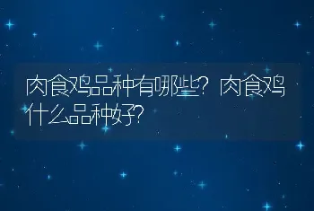 肉食鸡品种有哪些？肉食鸡什么品种好？