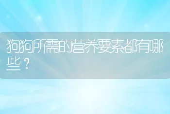 狗狗所需的营养要素都有哪些？