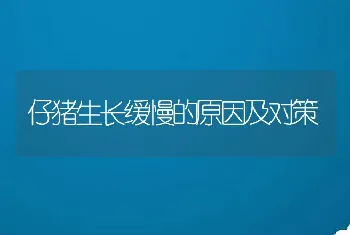 仔猪生长缓慢的原因及对策