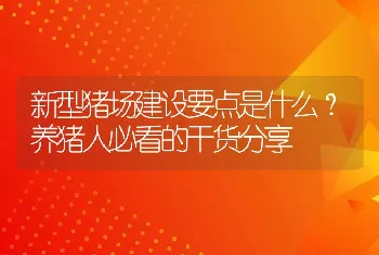 新型猪场建设要点是什么？养猪人必看的干货分享