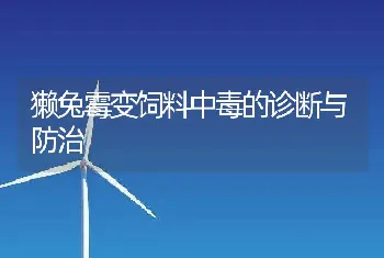 獭兔霉变饲料中毒的诊断与防治