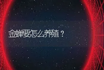 金蝉要怎么养殖？