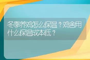 冬季养鸡怎么保温？鸡舍用什么保温成本低？