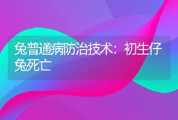 兔普通病防治技术：初生仔兔死亡