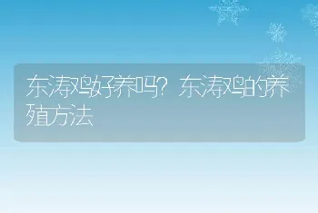 东涛鸡好养吗？东涛鸡的养殖方法