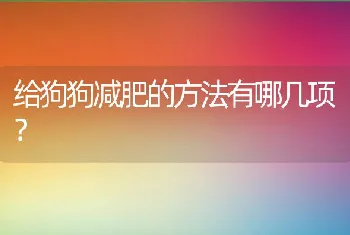 给狗狗减肥的方法有哪几项？