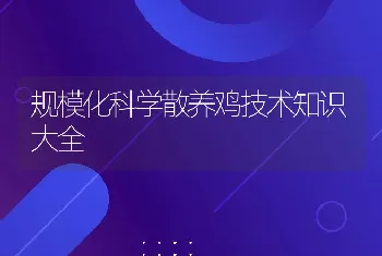 规模化科学散养鸡技术知识大全