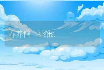 春养鸭 补维a