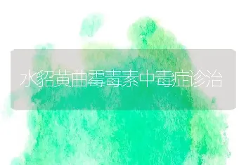 水貂黄曲霉毒素中毒症诊治