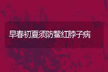 早春初夏须防鳖红脖子病