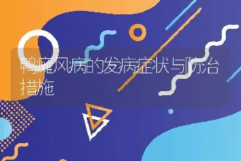 鸭瘫风病的发病症状与防治措施