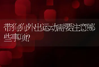 带狗狗外出运动需要注意哪些事项？