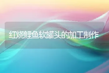 红烧鲤鱼软罐头的加工制作