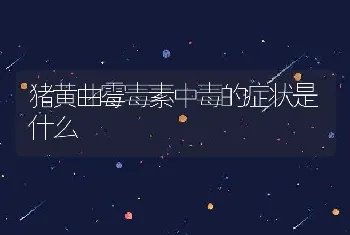 猪黄曲霉毒素中毒的症状是什么