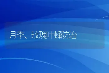 月季、玫瑰叶蜂防治