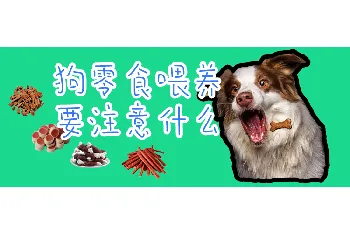 狗零食喂养要注意什么