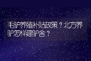 毛驴养殖补贴政策？北方养驴怎样建驴舍？