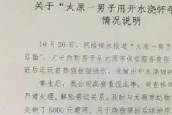 开除！太原安保公司回应男子开水浇烫怀孕母猫