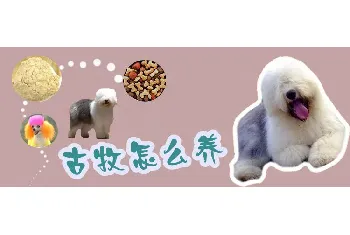 古牧怎么养