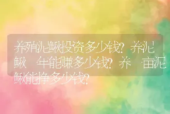 养殖泥鳅投资多少钱？养泥鳅一年能赚多少钱？养一亩泥鳅能挣多少钱?