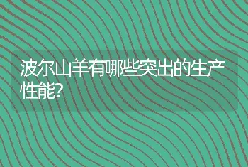 波尔山羊有哪些突出的生产性能？