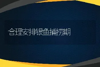 合理安排银鱼捕捞期