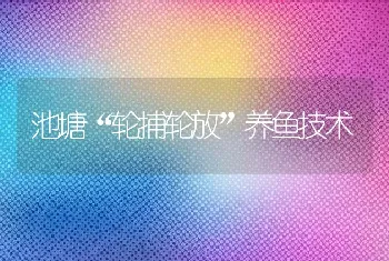 池塘“轮捕轮放”养鱼技术