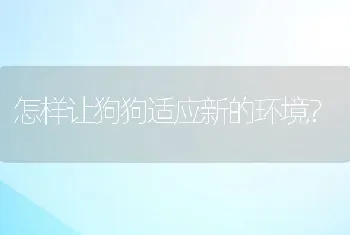 怎样让狗狗适应新的环境？