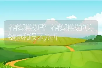 养鹅赚钱吗?养鹅赚钱的关键点和误区分析