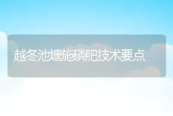 越冬池塘施磷肥技术要点