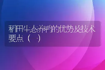 稻田生态养鸭的优势及技术要点（一）