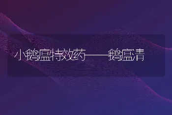 小鹅瘟特效药鹅瘟清