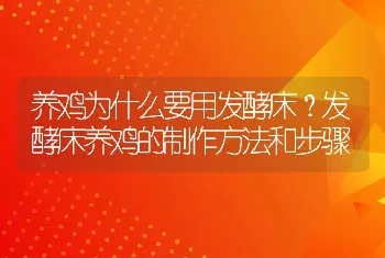 养鸡为什么要用发酵床？发酵床养鸡的制作方法和步骤