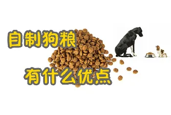 自制狗粮有什么优点