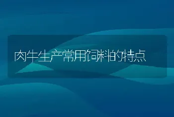 肉仔鸡胃型传染性支气管炎二