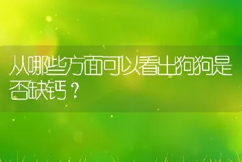 从哪些方面可以看出狗狗是否缺钙？