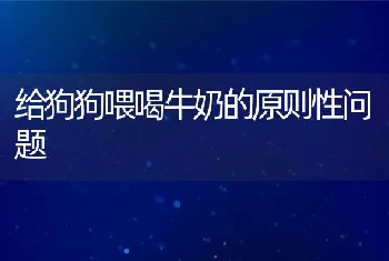 给狗狗喂喝牛奶的原则性问题