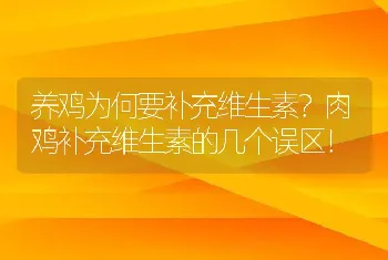 养鸡为何要补充维生素？肉鸡补充维生素的几个误区！