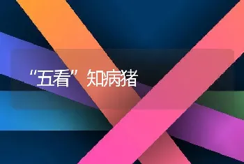 “五看”知病猪